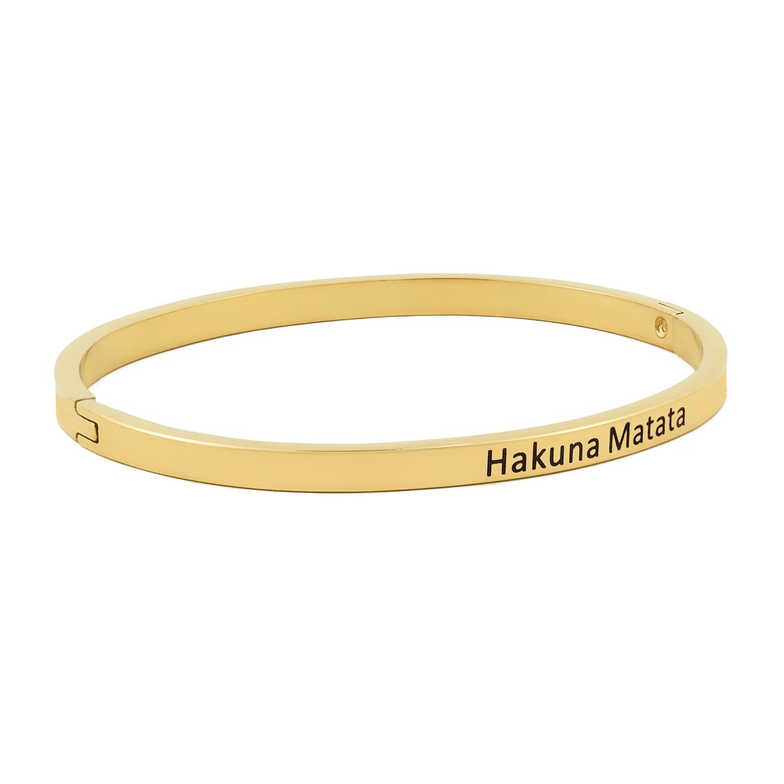Hakuna Matata Gold Mantra Band - Image 5