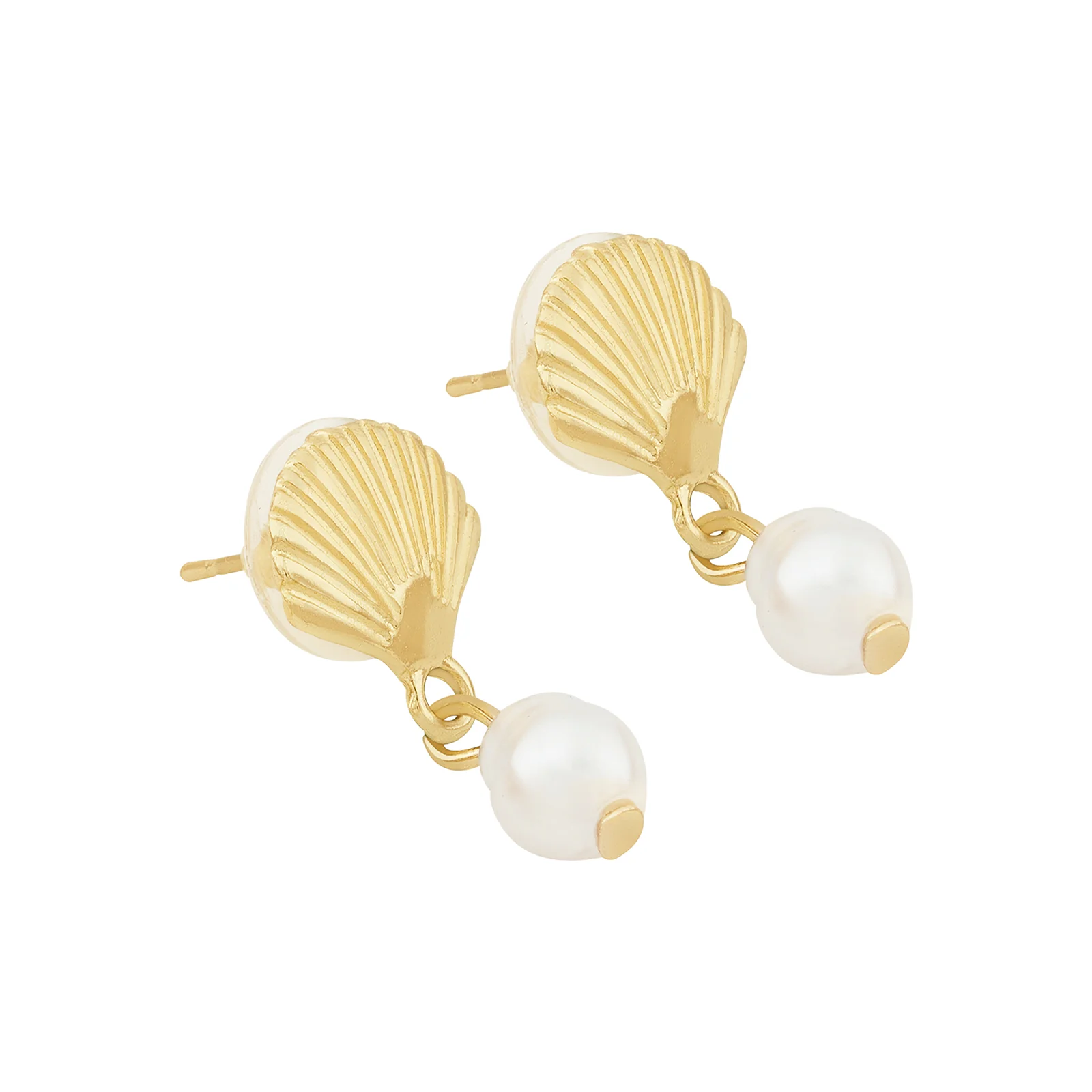 Zuma Seashell Gold Earrings - Image 4